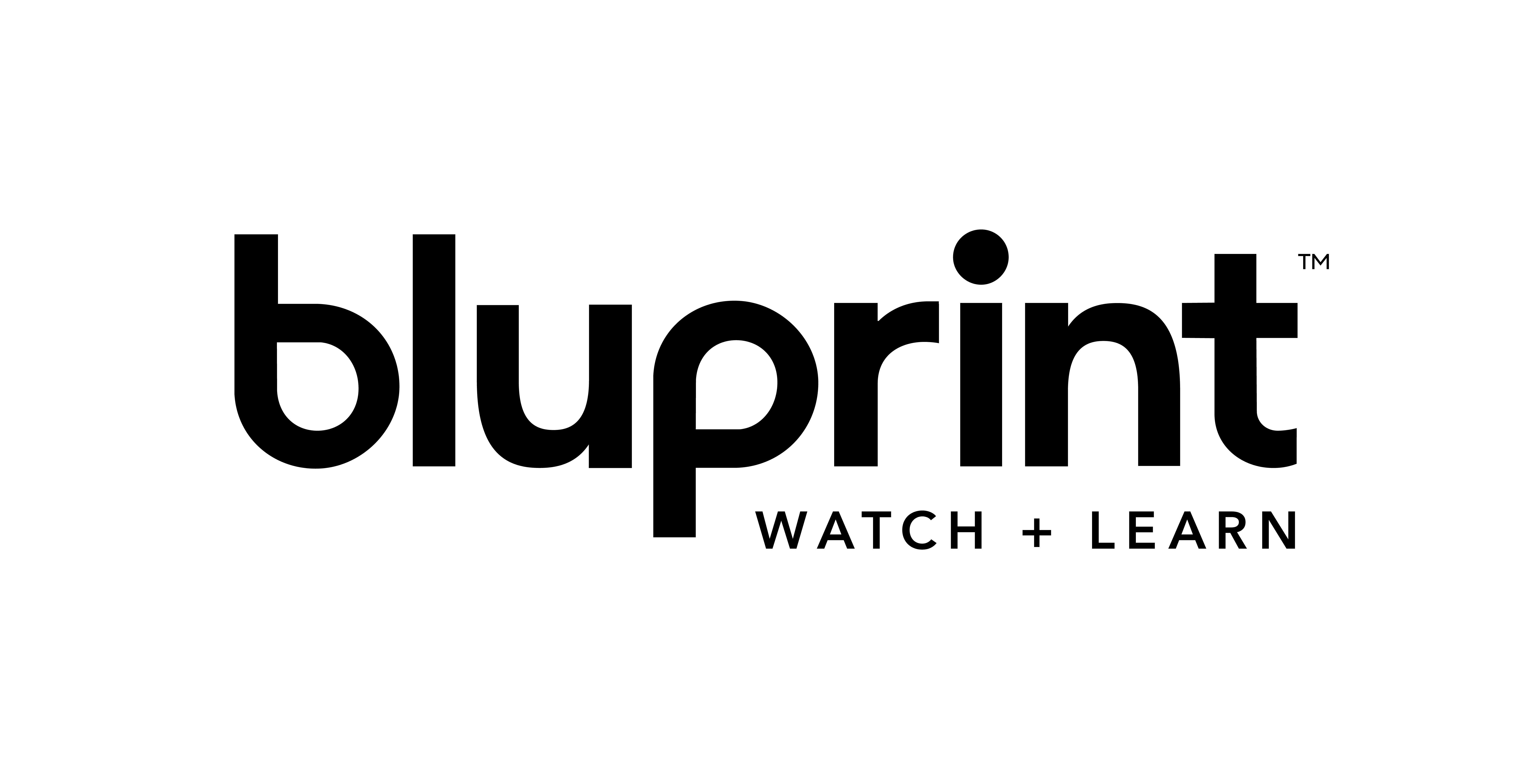 Learn New Things with Bluprint