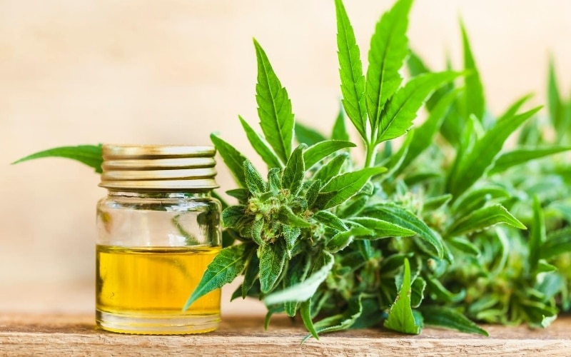 Getting the Best Deal 8 Tips for Buying CBD Wholesale